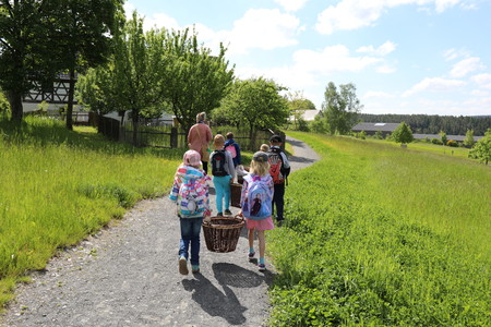 Kinder auf Weg mit Körben zum Pflanzensammeln