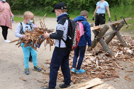 Kinder sammeln Rinde