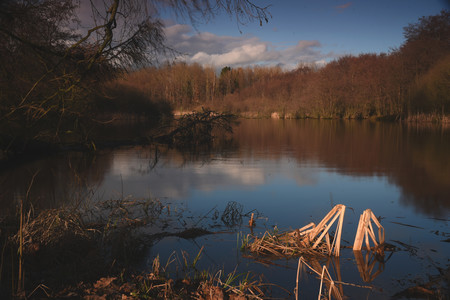 Weiher im Herbst