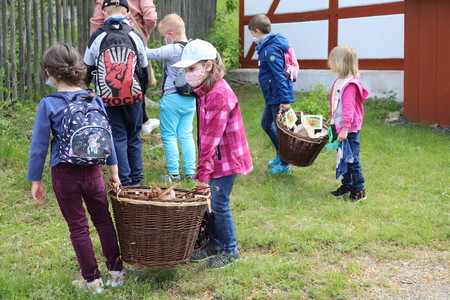 Kinder sammeln Pflanzen